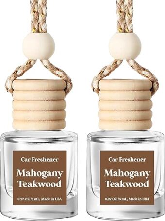 Car Air Freshener Hanging, Essential Oil Diffuser for Car, Car Air Freshener Cute, Long Lasting Air Freshener for Car, Car Fresheners for Women, Made in USA