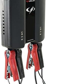 Schumacher Electric SC1444 2A 6V/12V Two-Bank Battery Charger and Maintainer – for Motorcycle, Power Sport, Car, SUV, Truck, and Boat Batteries – Fully Automatic